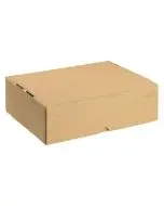CARTON WITH LID 305X215X100MM BROWN (PACK OF 10) 144667114
