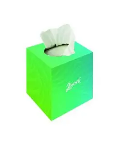 2WORK FACIAL TISSUES CUBE 70 SHEETS (PACK 24) FTW070