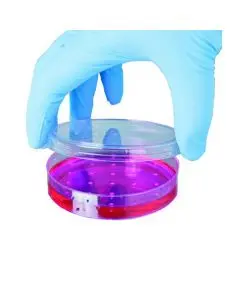 SHIELD POWDER-FREE BLUE NITRILE SMALL GLOVES (PACK OF 100) GD19