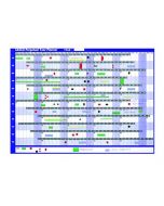 SASCO MAGNETIC PERPETUAL YEAR TO VIEW PLANNER 2400001