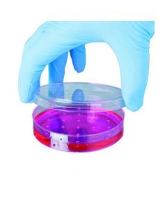 SHIELD POWDER-FREE BLUE NITRILE SMALL GLOVES (PACK OF 100) GD19