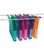 REXEL MULTIFILE EXTRA LINKABLE FILE 30MM ASSORTED (PACK OF 10 FILES) 2102574