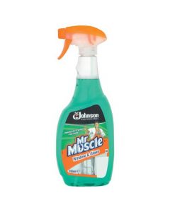 MR MUSCLE WINDOW AND GLASS CLEANER PROFESSIONAL 750ML REF 1003009 (PACK OF 1)