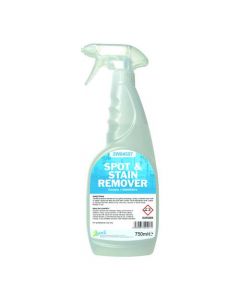 2WORK CARPET SPOT AND STAIN REMOVER 750ML 2W04557 (PACK OF 1)