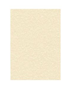 DECADRY PARCHMENT A4 LETTERHEAD PAPER 95GSM CHAMPAGNE (PACK OF 100 SHEETS) PCL1601